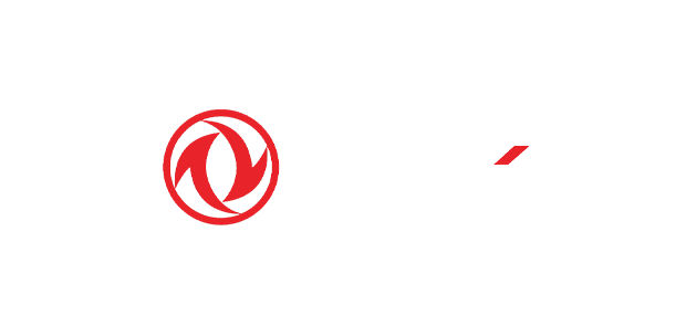 dfsk